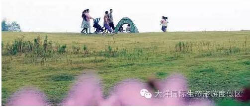 QQ截图20161009150253.jpg